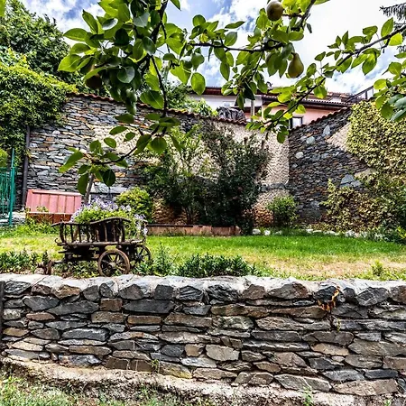 Avlija Garden Gem Apartment *